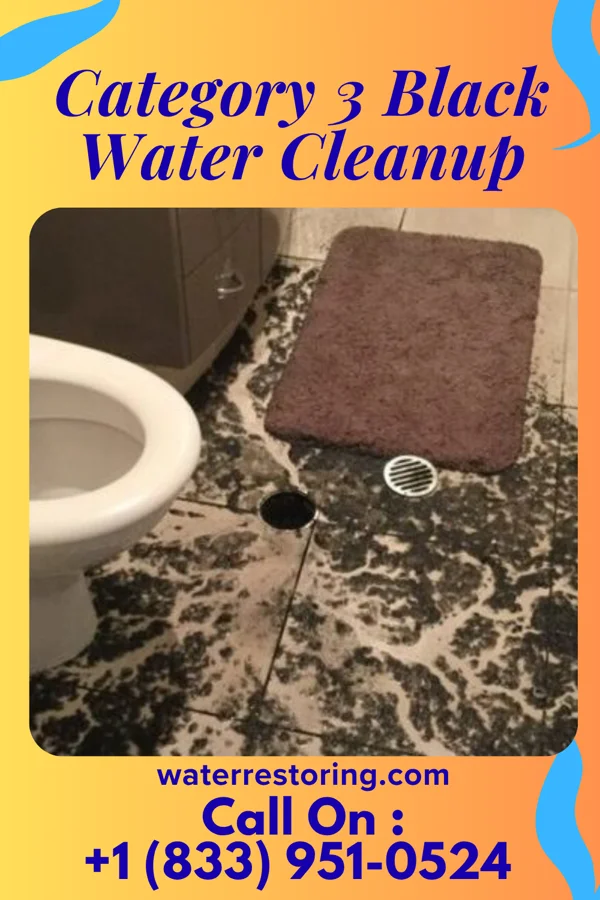 Category 3 Black Water Cleanup in Tye, TX