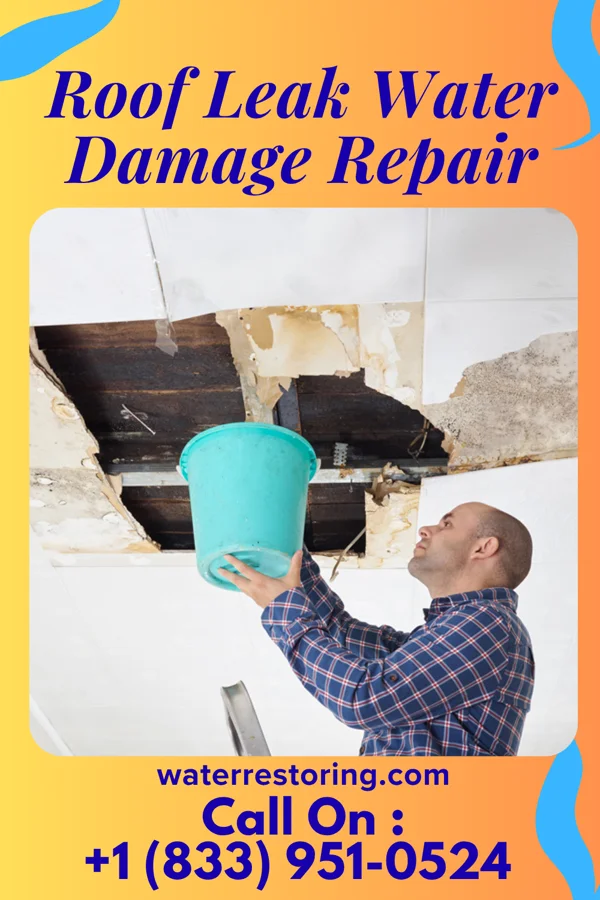 Roof Leak Water Damage Repair in Tye, TX