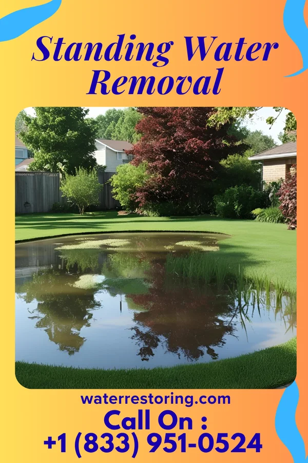 Standing Water Removal in Tye, TX